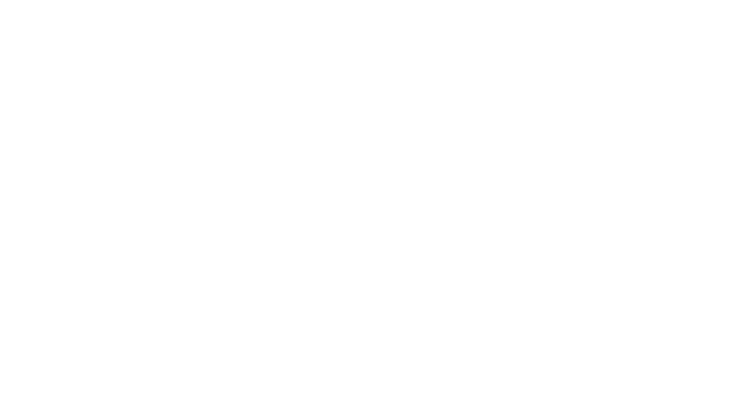 Chinese Factory STATICE （スターチス）